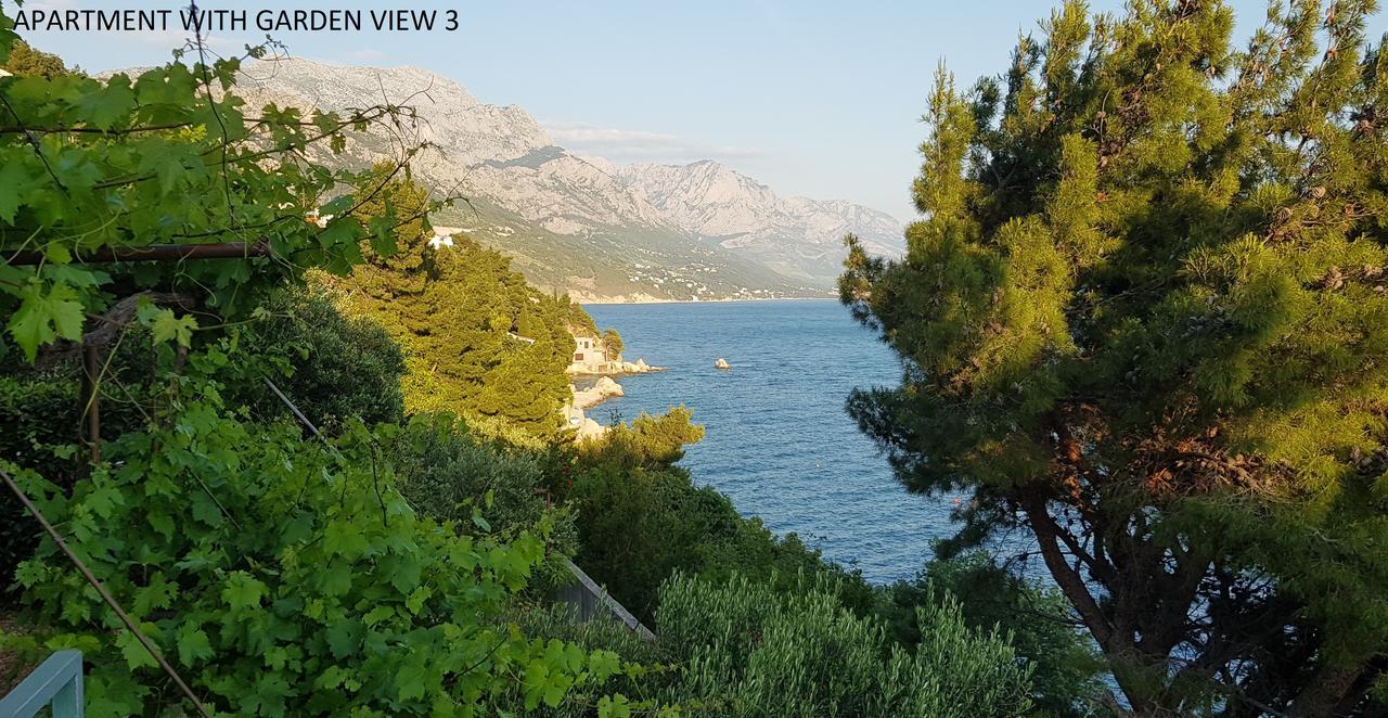 Apartments Olga & Jure Pisak Δωμάτιο φωτογραφία